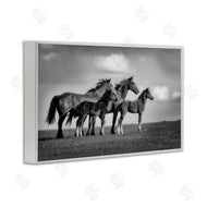 Wendy Caro | Babies On Board Horse Family