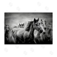 Celebrate Life Gallery | Sunset Wildlife Horses