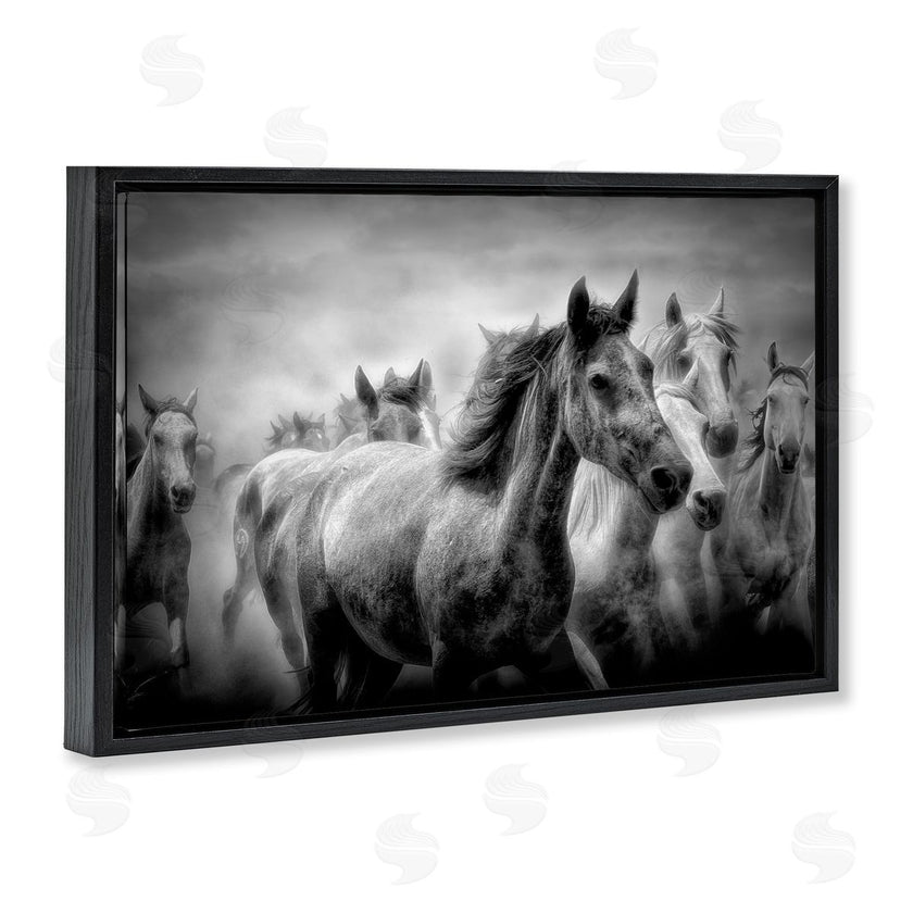 Celebrate Life Gallery | Sunset Wildlife Horses