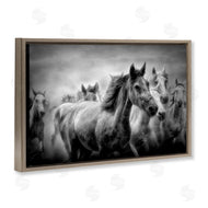 Celebrate Life Gallery | Sunset Wildlife Horses
