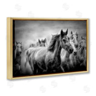 Celebrate Life Gallery | Sunset Wildlife Horses