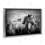Celebrate Life Gallery | Sunset Wildlife Horses
