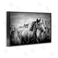 Celebrate Life Gallery | Sunset Wildlife Horses