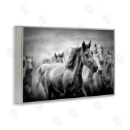 Celebrate Life Gallery | Sunset Wildlife Horses