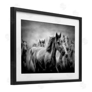 Celebrate Life Gallery | Sunset Wildlife Horses