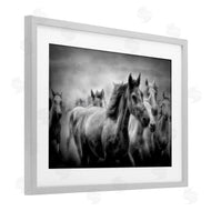 Celebrate Life Gallery | Sunset Wildlife Horses