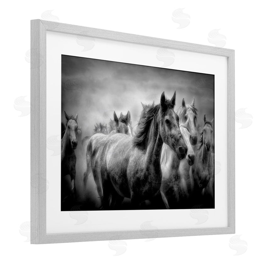 Celebrate Life Gallery | Sunset Wildlife Horses