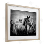 Celebrate Life Gallery | Sunset Wildlife Horses