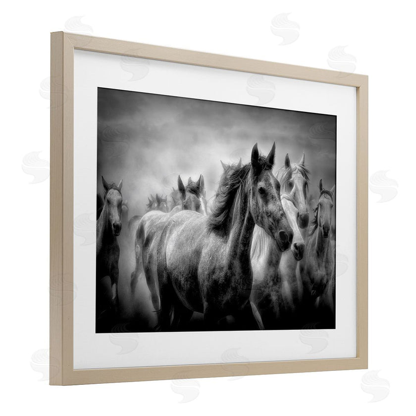 Celebrate Life Gallery | Sunset Wildlife Horses