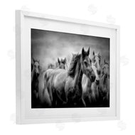Celebrate Life Gallery | Sunset Wildlife Horses
