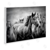 Celebrate Life Gallery | Sunset Wildlife Horses