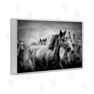 Celebrate Life Gallery | Sunset Wildlife Horses
