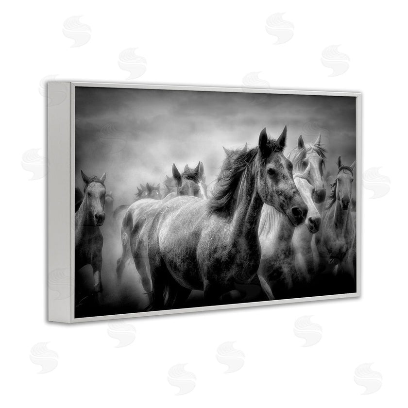 Celebrate Life Gallery | Sunset Wildlife Horses