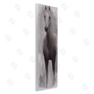 Jelena Petric | Horse Standing Aware