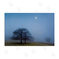 Urtzi Vera | Blue Silence Landscape