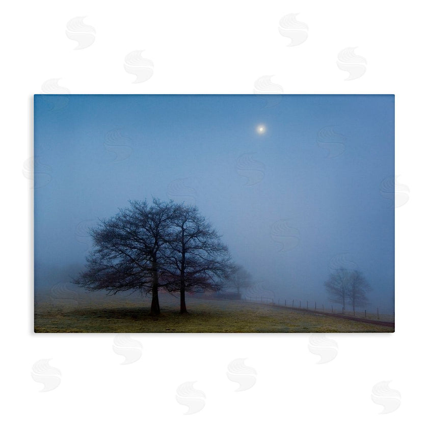 Urtzi Vera | Blue Silence Landscape