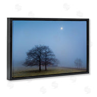 Urtzi Vera | Blue Silence Landscape