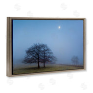 Urtzi Vera | Blue Silence Landscape