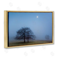 Urtzi Vera | Blue Silence Landscape