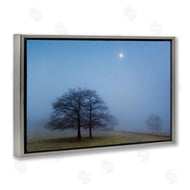 Urtzi Vera | Blue Silence Landscape