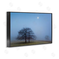 Urtzi Vera | Blue Silence Landscape