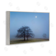 Urtzi Vera | Blue Silence Landscape