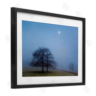 Urtzi Vera | Blue Silence Landscape