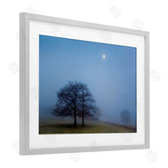 Urtzi Vera | Blue Silence Landscape