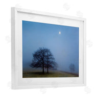 Urtzi Vera | Blue Silence Landscape