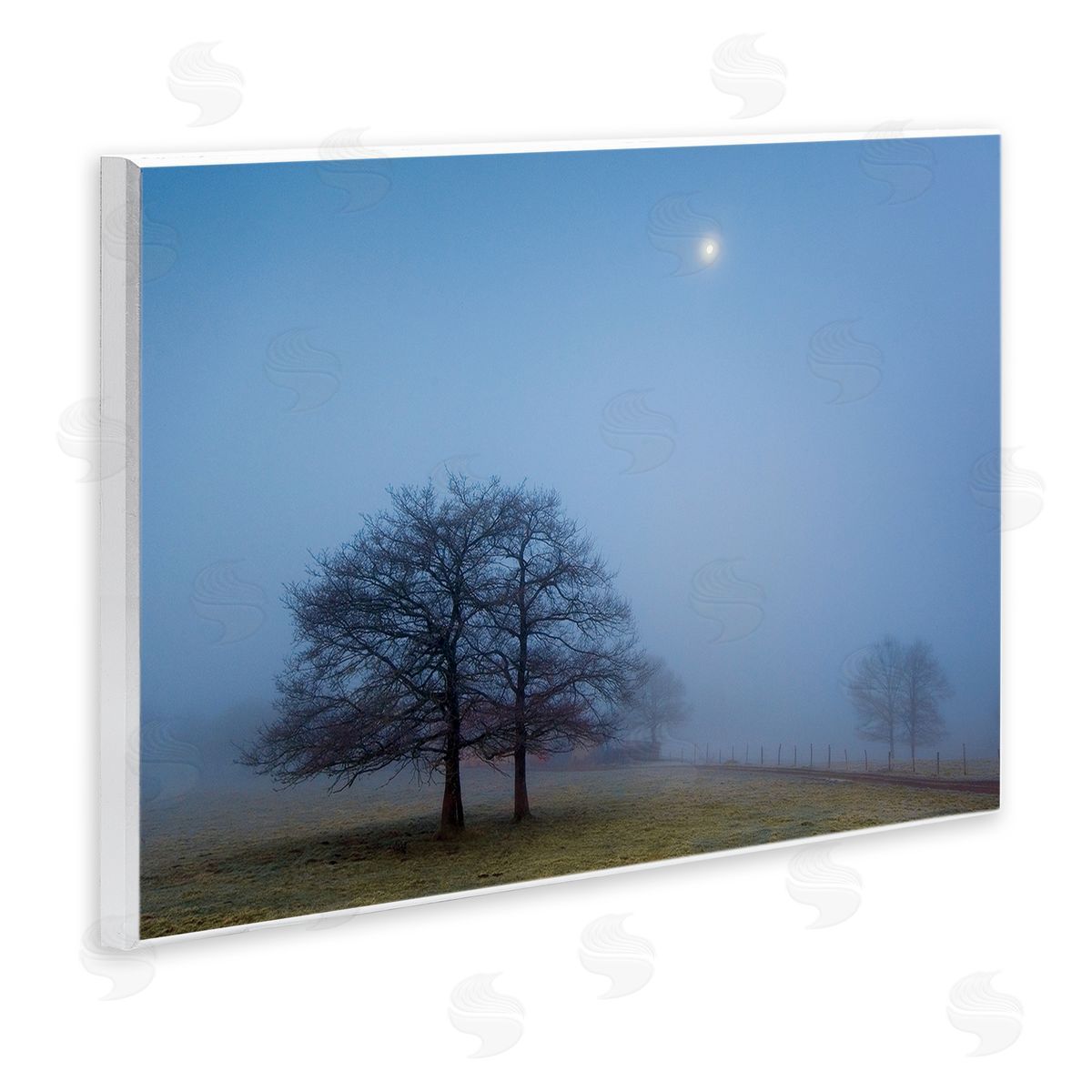 Urtzi Vera Blue Silence Landscape Canvas Wall Art Print