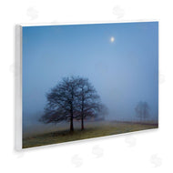 Urtzi Vera | Blue Silence Landscape