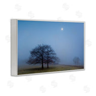 Urtzi Vera | Blue Silence Landscape