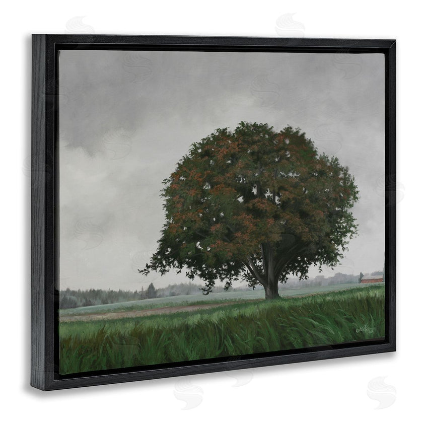 Julie Peterson | Atmospheric Lone Tree
