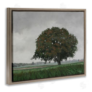 Julie Peterson | Atmospheric Lone Tree