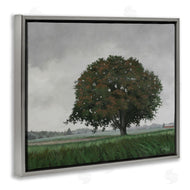 Julie Peterson | Atmospheric Lone Tree