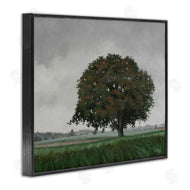 Julie Peterson | Atmospheric Lone Tree