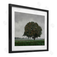 Julie Peterson | Atmospheric Lone Tree