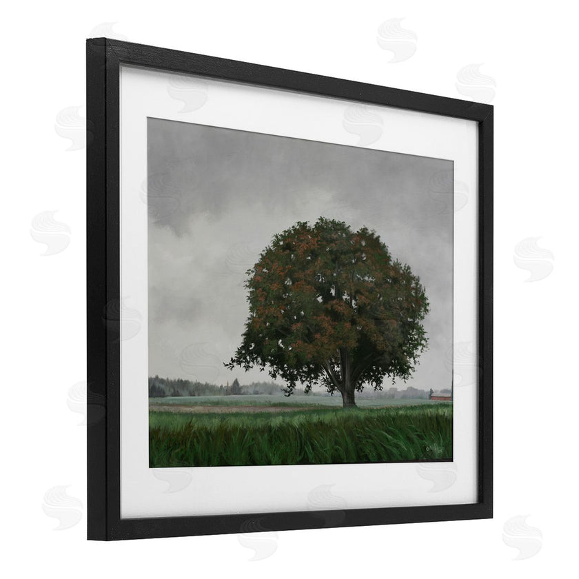 Julie Peterson | Atmospheric Lone Tree