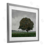 Julie Peterson | Atmospheric Lone Tree