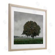 Julie Peterson | Atmospheric Lone Tree