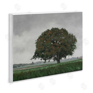 Julie Peterson | Atmospheric Lone Tree