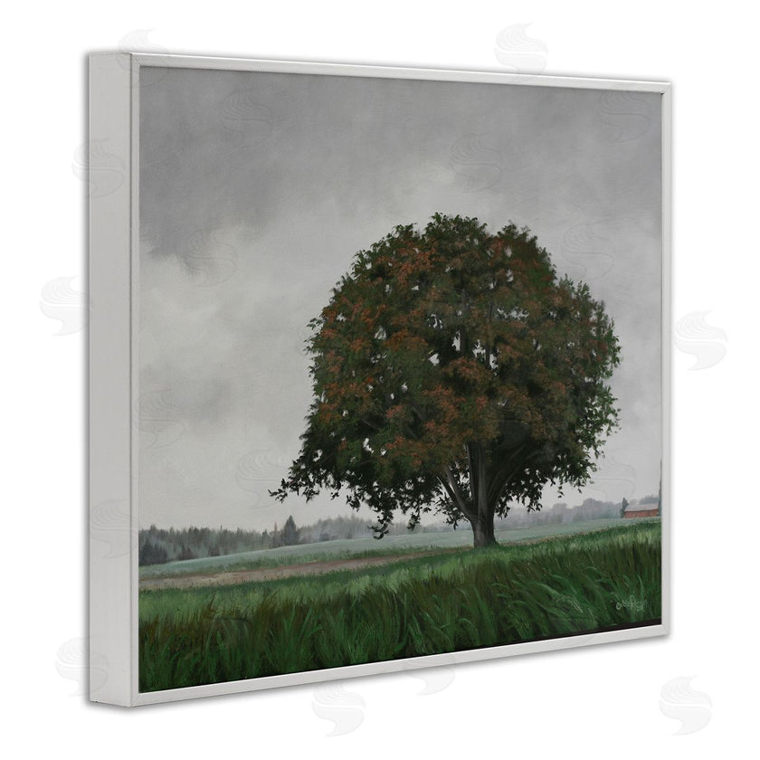 Julie Peterson | Atmospheric Lone Tree