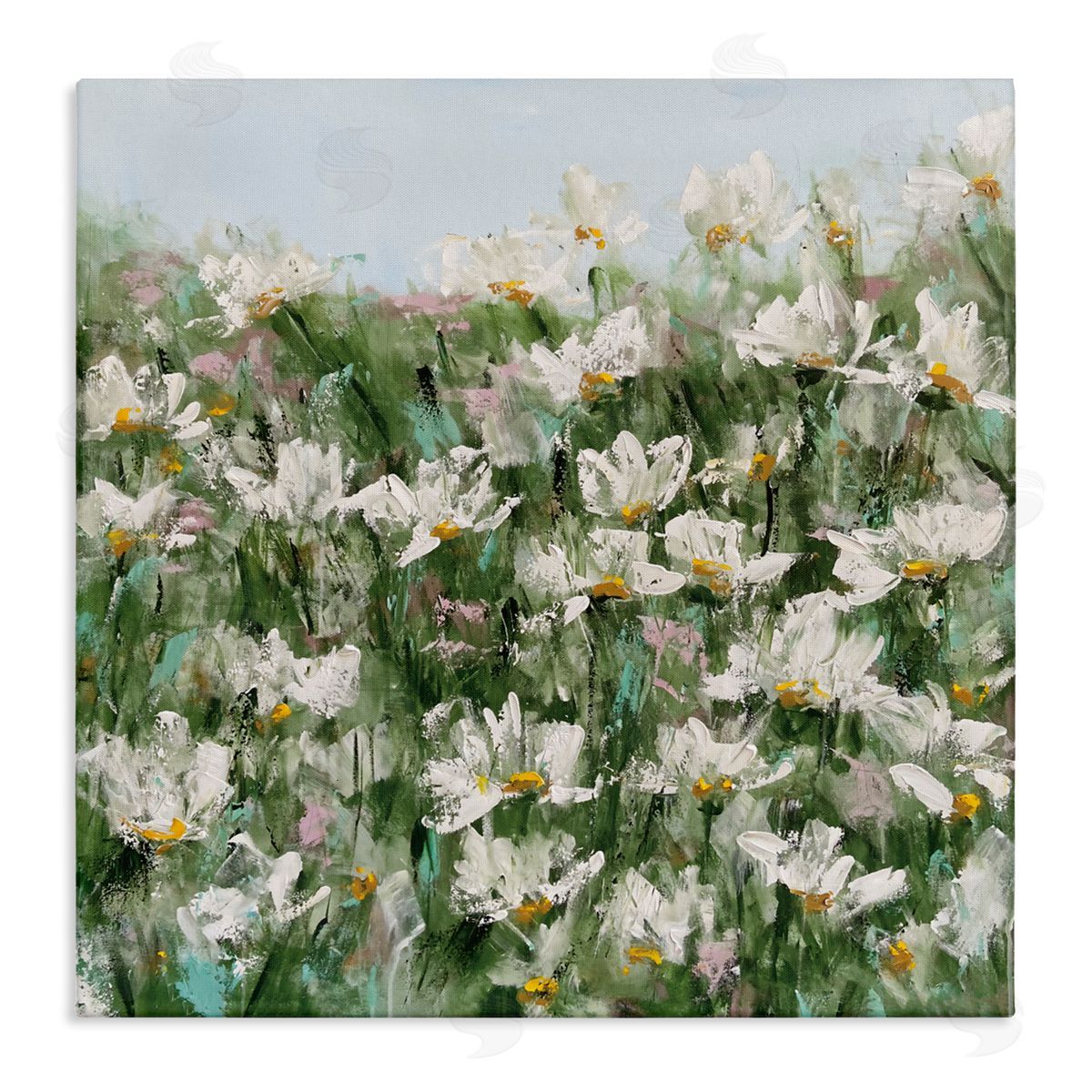 Emma Bell Daisy Field in Springtime Canvas Wall Art Print