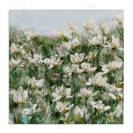 Emma Bell | Daisy Field in Springtime