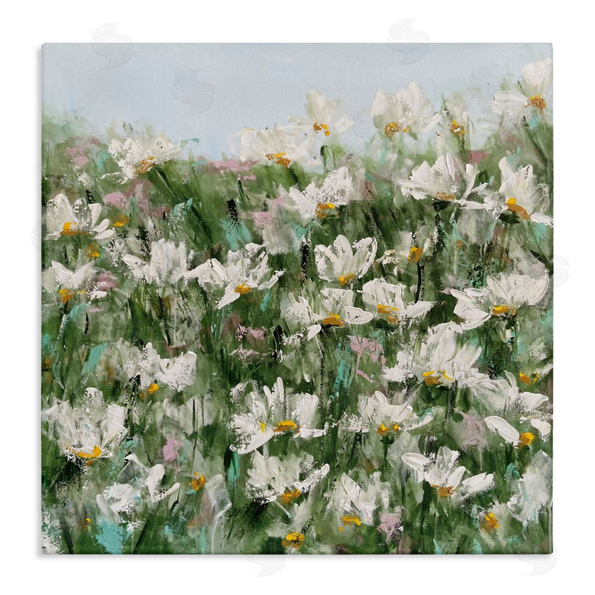 Emma Bell | Daisy Field in Springtime