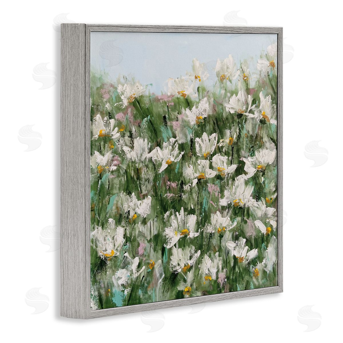 Emma Bell Daisy Field in Springtime Canvas Wall Art Print