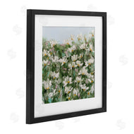 Emma Bell | Daisy Field in Springtime