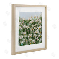 Emma Bell | Daisy Field in Springtime