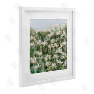 Emma Bell | Daisy Field in Springtime