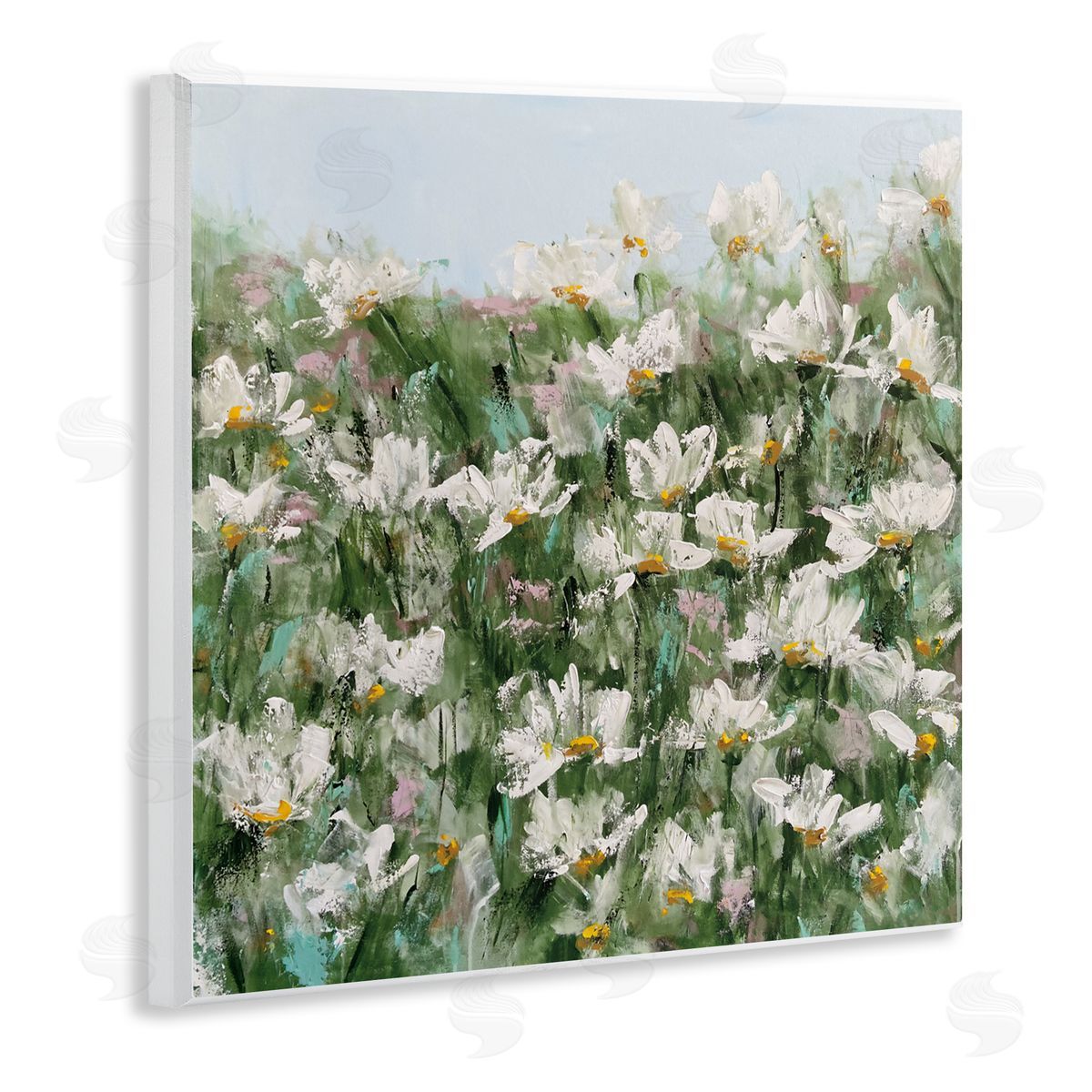 Emma Bell Daisy Field in Springtime Canvas Wall Art Print